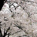 (주)가나관광 이미지