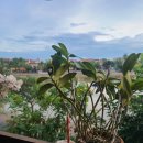 (주) 헤이데이 이미지