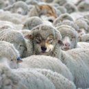 신림산업(주) 이미지