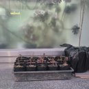 미림농장 이미지