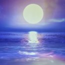 국립부산국악원 | ​🌸 부산에서 즐기는 특별한 예술, 국립부산국악원 '풍류의 정원' 전시 안내/ 다녀온 후기