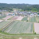 동정보건진료소 이미지