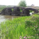 초동초등학교 이미지