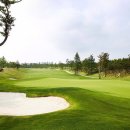 테디벨리골프장 4 이미지