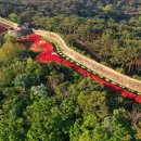 꽃길만걷자6 이미지