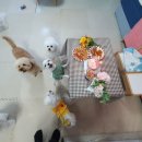 #오늘생일 | 2021.11.11 🎂 3쨜 생일