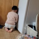 하마낚시터 이미지