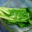 한국생약국 이미지