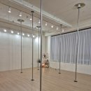 벨롱폴댄스 이미지