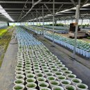 들꽃나라농장 이미지