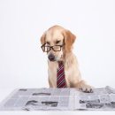 청소년지도사 이미지