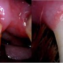 고강동물병원 이미지