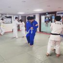 여의도유도관 이미지