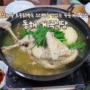 동해식당 | 삼화동 백숙 먹으러 무릉계곡 맛집 동해 계곡식당 다녀온 후기