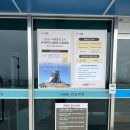 4월 전라남도 여행기(5)- 진도여행 마지막 후기+송가인꽈배기+진도타워