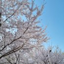 예술회관역 11번출구 이미지