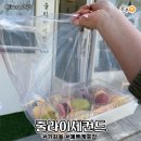 하대동366 이미지