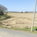 개정면사무소 이미지