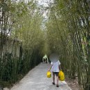 망고카서비스 | 푸꾸옥 선셋 카미아리조트 레스토랑 오션뷰 예약 후기