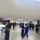 파라에스트라하계주짓수mma