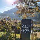 밭멍스테이