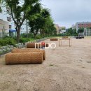 부흥중학교 이미지