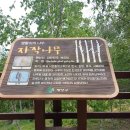 계산고등학교 | 인천 계양구 계양산 정상 오른후기