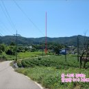 내리1리 마을회관 | [2024타경10480] 인천 강화군 화도면 내리 산7-1 <<강화토지(임야)경매>>