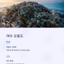 여수바다 네이버블로그