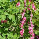 대천공원1호 이미지