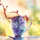 흘리커피 이미지