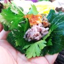 산골짜기쌈밥마을 네이버블로그