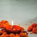 진에너지 이미지