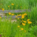 도봉-도봉-서울도봉-2117 이미지