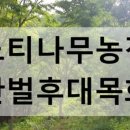 정용 농장 이미지
