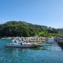 통영여행게스트펜션 | 통영펜션 통영가족펜션, 바다뷰 낚시여행하기 좋은 통영루지여행펜션 후기