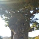 다혜-목장 이미지