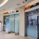 W365메디컬의원 | [부산남구] 무료 독감예방접종주사 맞은 후기