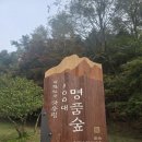 말티재활용 이데일리
