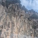 바다풍경펜션 | 특별한 먹거리와 자연까지 경험한 울릉도펜션 바다풍경펜션 가족여행 후기