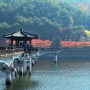 느린미학 이미지