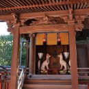 일본 Tour ( 8 ) * 교토 [ 이나리 신사 (神社) ] 이미지