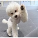 플러스하트 이미지