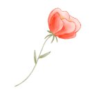 옥수병설유치원 이미지