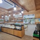 몽블랑헤어 | 평창 휘닉스파크 블루동 숙박, 온담, 청담, 블루캐니언, 곤돌라, 루지, 몽블랑, 양떼목장 다녀온 후기
