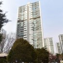 분당초등학교 | 분당 시범단지 현대아파트 임장 후기