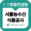 서울특별시농수산식품공사 면접 심층 인성면접 후기 기출 준비 학원