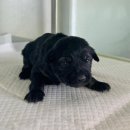 외답6길 이미지