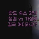 모텔뷰 | 완도 숙소 추천 | 라메르호텔 오션뷰 청결 | 가성비 씨애틀모텔 | 두 곳을 비교한 솔직 후기 분석