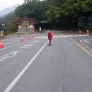 천년숲서로(동) 이미지